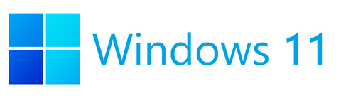 windows-11-vds-server
